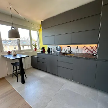 Devant Les Grands Chalutiers 公寓 拉罗歇尔